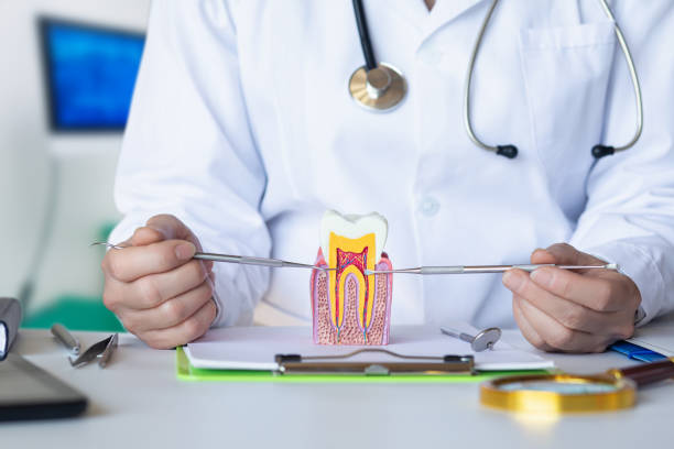 Best Emergency Root Canal Treatment in Mckees Rocks, PA